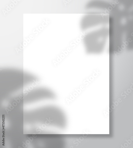 Vector shadow overlay of monstera palm leaves with blank paper letterhead sheet. Tropical stationery transparent background foliage decoration template Light effect mockup