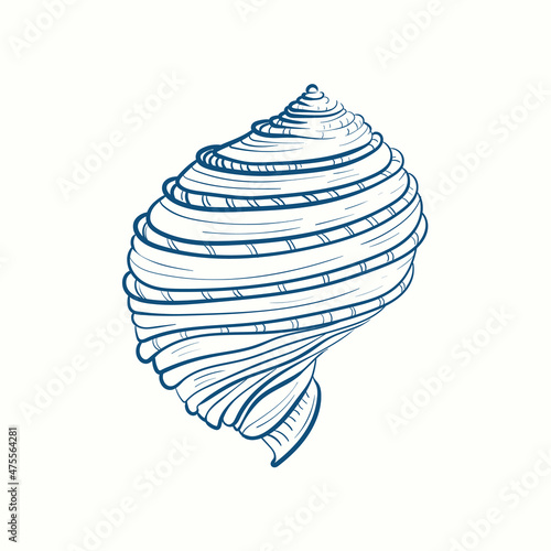Hand-drawn realistic seashells. Shells of mollusks of various forms: coils, spirals, cone, scallops. Oceans nature in vintage style.