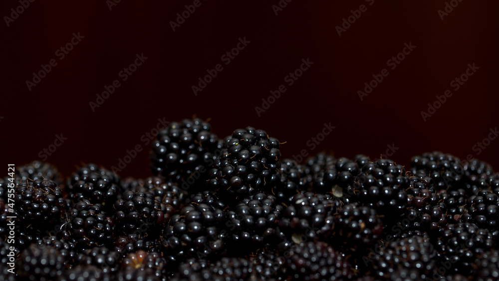 Blackberry with beneficial and healing properties for the whole body Blackberry with beneficial and healing properties for the whole body