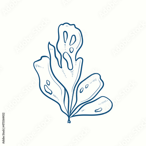 Seaweeds silhouettes. Underwater coral reef, hand drawn sea kelp plant, isolated marine weeds outdoor ocean.