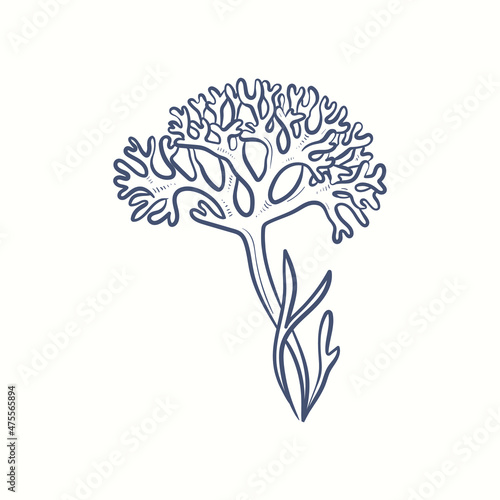 Seaweeds silhouettes. Underwater coral reef, hand drawn sea kelp plant, isolated marine weeds outdoor ocean.