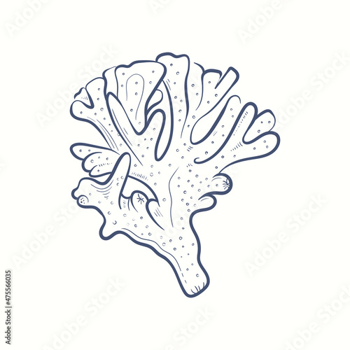 Seaweeds silhouettes. Underwater coral reef  hand drawn sea kelp plant  isolated marine weeds outdoor ocean.