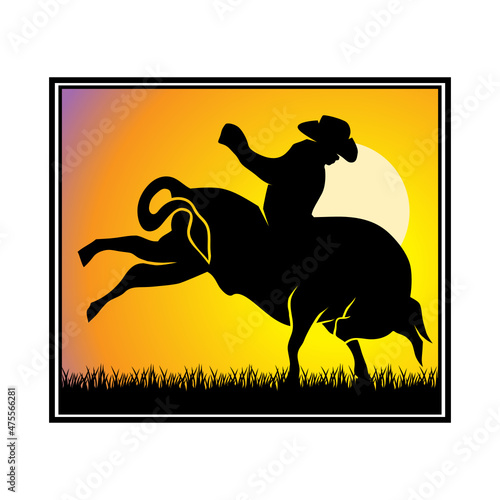 cowboy and bull
