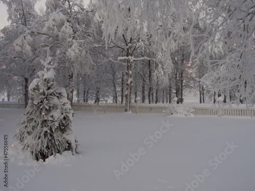 Wallpaper Mural North of Sweden, mountains in Arjeplog lapland Torontodigital.ca