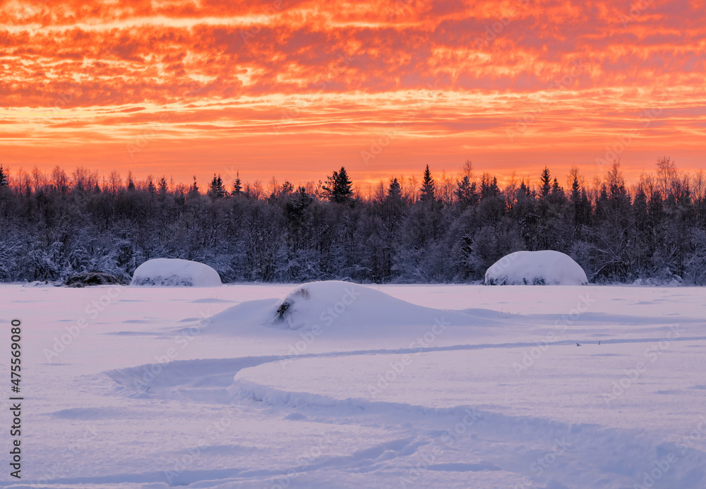 Snow-covered haystacks on the outskirts of the forest against an orange sky. Rural winter landscape Snow-covered haystacks on the outskirts of the forest against an orange sky. Rural winter landscape