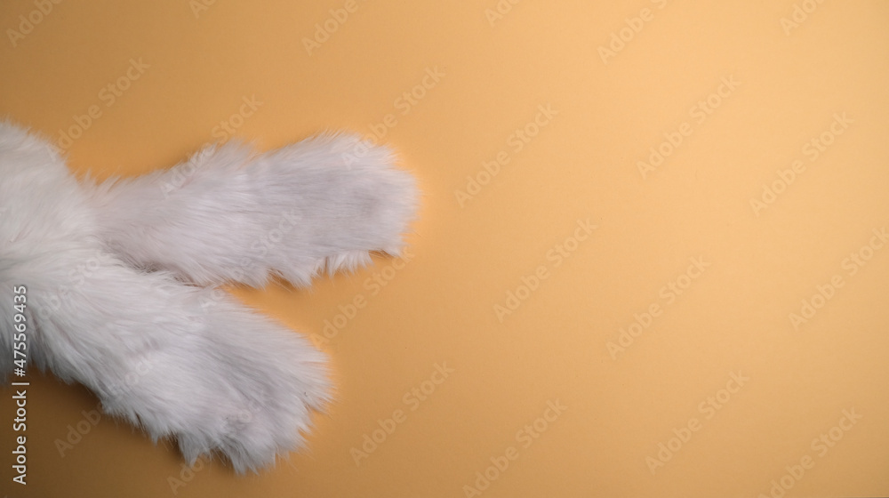 Rabbit, bunny ears on a yellow background. Rabbit, bunny ears on a yellow background.