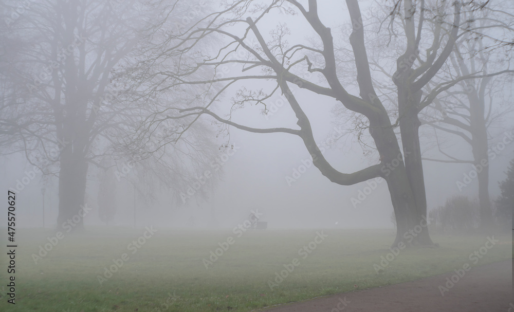 Park in the fog, trees and unrecognizable bicyclist with cargo bike, autumn, winter, season and weather concept Park in the fog, trees and unrecognizable bicyclist with cargo bike, autumn, winter, season and weather concept