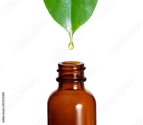 Essential oil isolated on white background. Herbal essence dropping from fresh leaf to the bottle 