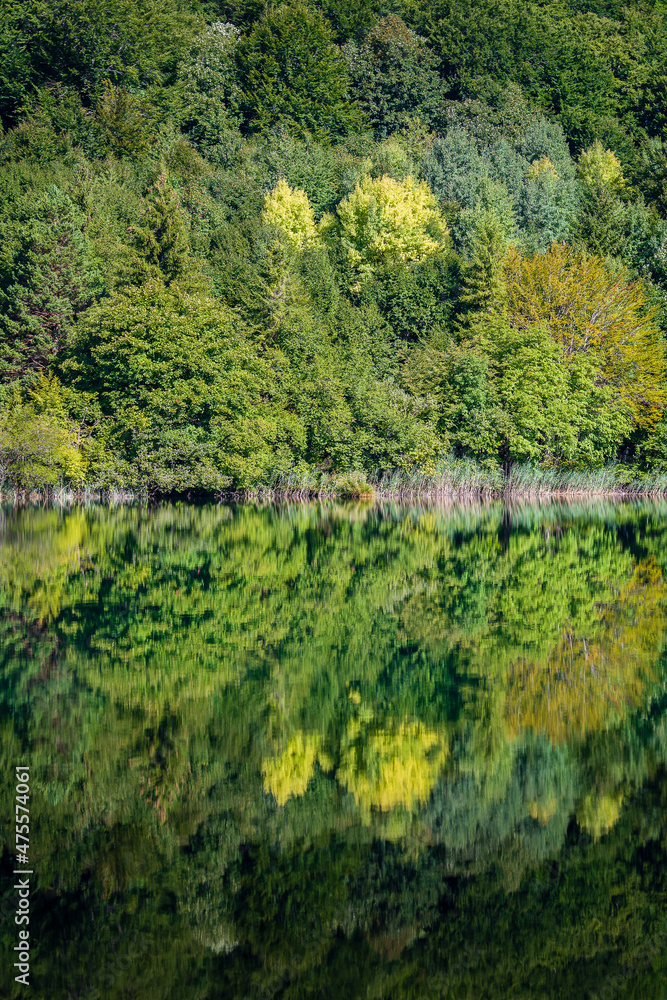 Wonderful view of the Plitvice Lakes National Park. Croatia Wonderful view of the Plitvice Lakes National Park. Croatia