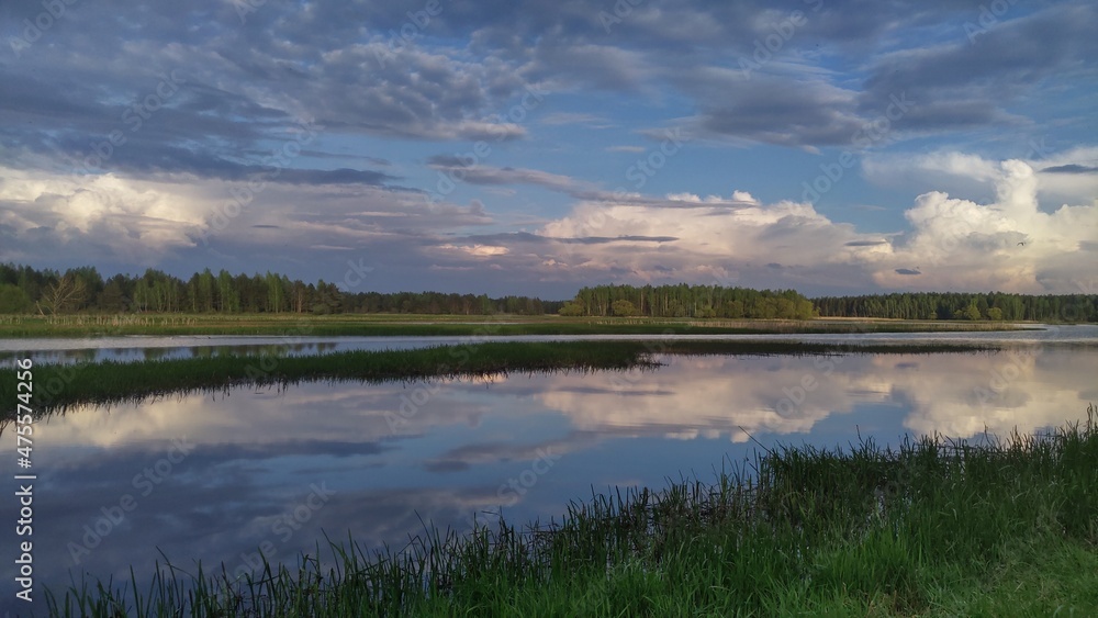 The river bank is covered with grass, and reeds grow in the water near the shore.  The sky and clouds are reflected in the calm water. A forest grows on the opposite bank