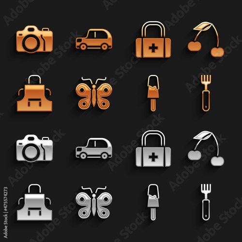 Set Butterfly, Cherry, Fork, Ice cream, Kitchen apron, First aid kit, Photo camera and Car icon. Vector