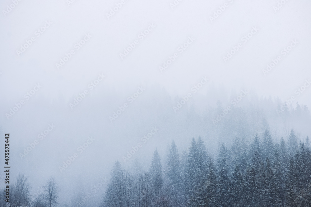 Abstract winter landscape with peaks and forest, on a foggy morning mountains. Beautiful panorama of winter forest. Abstract winter landscape with peaks and forest, on a foggy morning mountains. Beautiful panorama of winter forest.