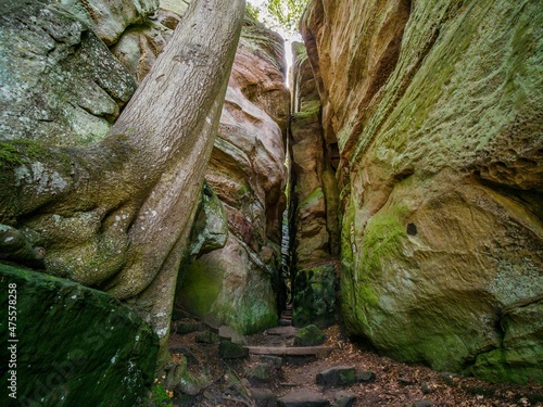 Impressive rock formations in Berdorf forest photo