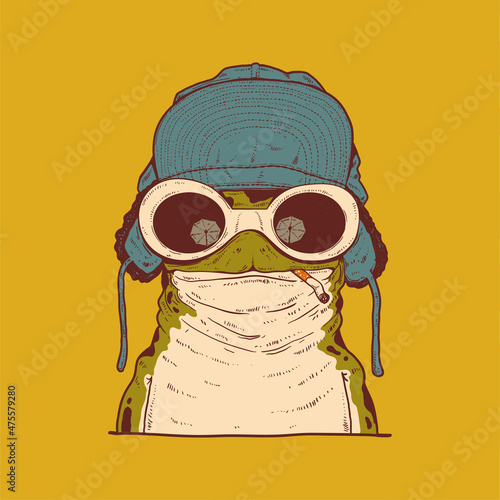 Smoking hipster frog  vector illustration. Funny portrait of cool anthropomorphic frog smoking a cigarette  wearing sunglasses and warm winter hat. Creative animal character. Furry art