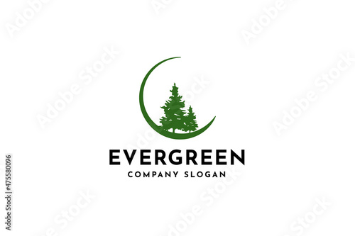 Evergreen pine tree, Hemlock, Evergreen, Pines, Spruce, Cedar trees logo design vector illustration.