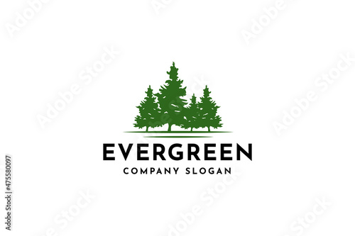 Evergreen pine tree, Hemlock, Evergreen, Pines, Spruce, Cedar trees logo design vector illustration.