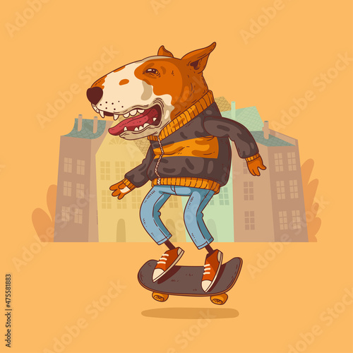 Bull terrier skateboarder, vector illustration. Smiling trendy dressed anthropomorphic dog, doing stunts on his skateboard with his tongue hanging out. Animal character with human body. Furry