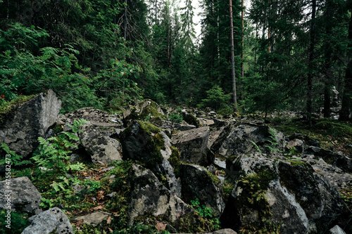 picturesque nature in north Karelia