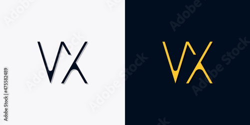 Minimalist abstract initial letters VX logo.