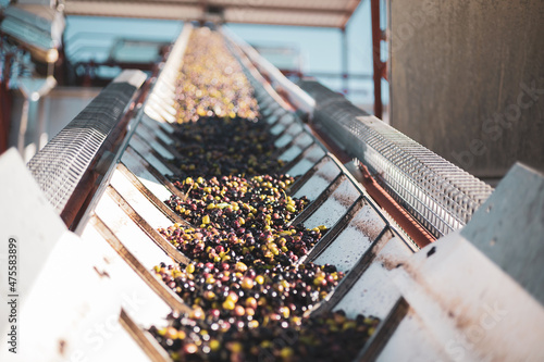 Photos machinery of an oil mill for obtaining olive oil.