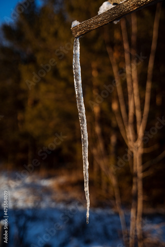 A thin icicle hangs from the roof. Frozen water in winter. Winter phenomena of nature. Sharp icicle. Minimalistic and closeshot photo