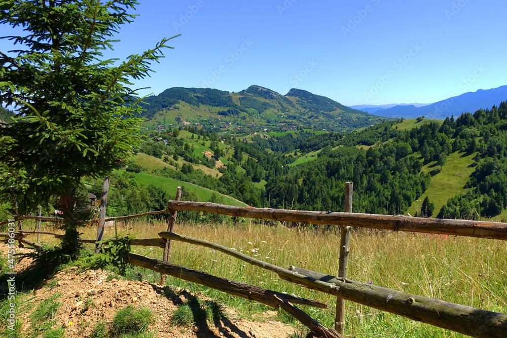 Summer landscape in the Carpathians, Magura Village, Romania, Europe 