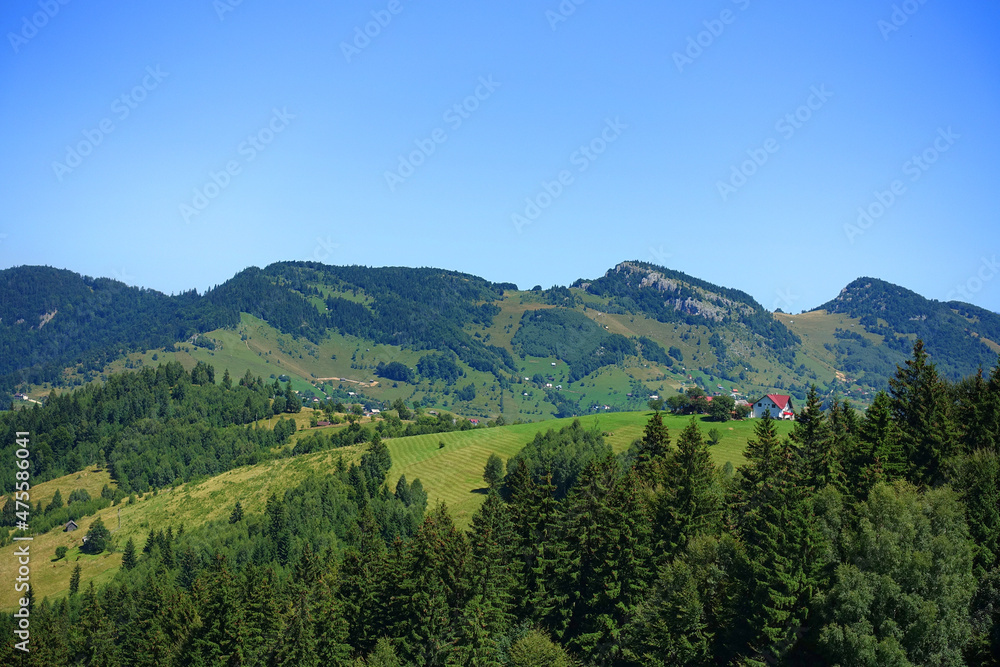 Summer alpine landscape of Bucegi Mountains, Romania, Europe