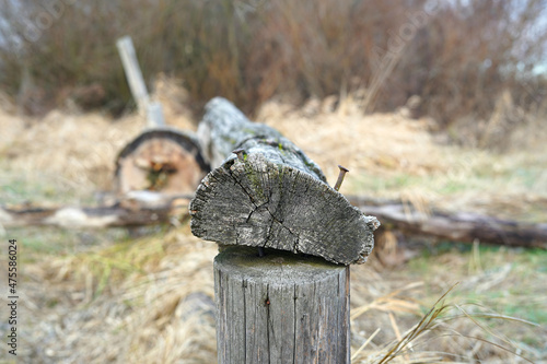 Wooden beam with nails. Natural fence.