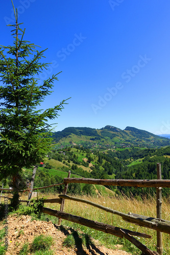 Summer landscape in the Carpathians  Pestera Village  Romania  Europe