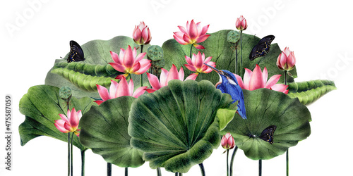 Lotus flowers and leaves, a bouquet of water lilies, painted with watercolor pencils and watercolor. Use it for invitations, postcards, prints, posters and your own design.