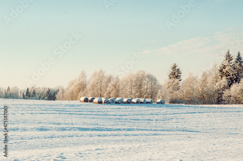 scenic winter landscape of a haystacks and forest and snow