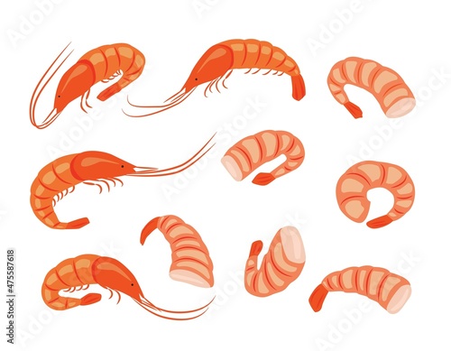 A set of shrimps in shell and peeled shrimps. Vector illustration for the menu of fish restaurants, for packaging in markets and shops.
