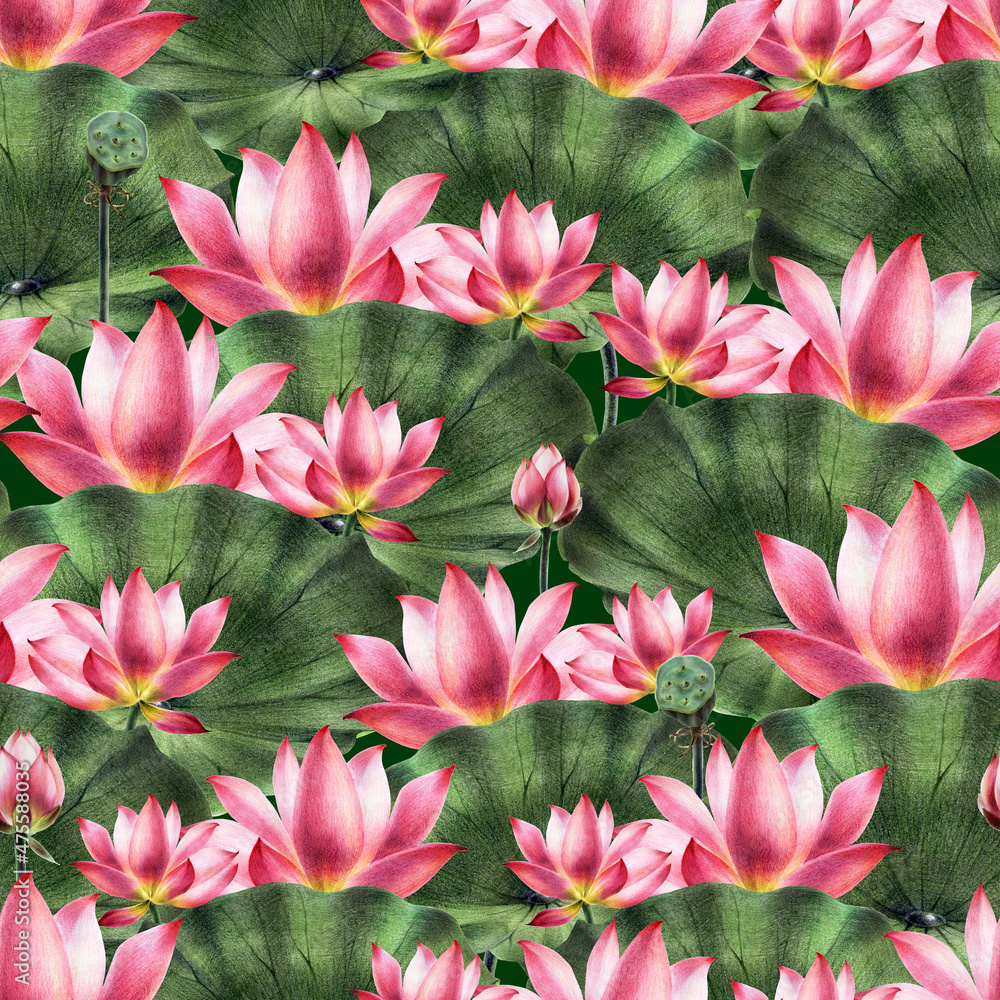 seamless-pattern-of-pink-lotus-image-of-a-water-pink-lily-hand