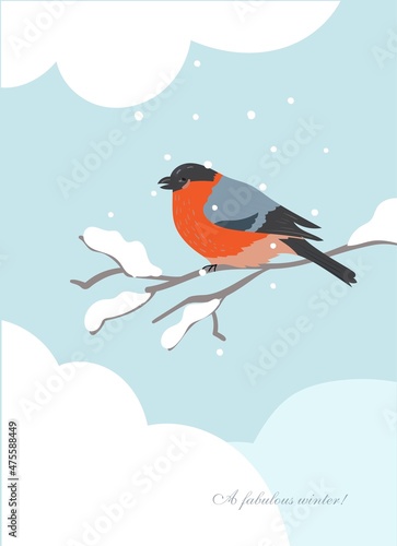 Bullfinch on a snowy branch Christmas card. Vector illustration.