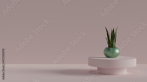 Snake plant in a shiny green pot on a table. Powder pink room and background with copy space. 