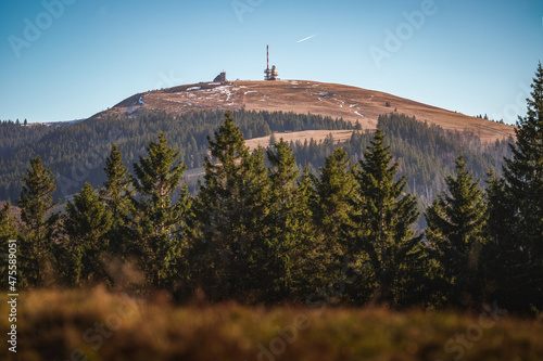 The rest of the Snow on Feldberg