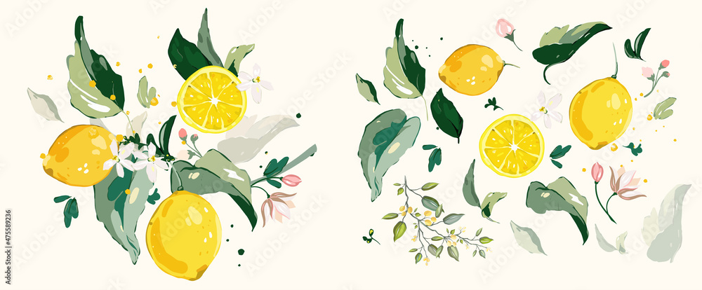 Big vector Set of lemon branch. Flower, green leaves. fruit and splashing juice. arrangements Big vector Set of lemon branch. Flower, green leaves. fruit and splashing juice. arrangements