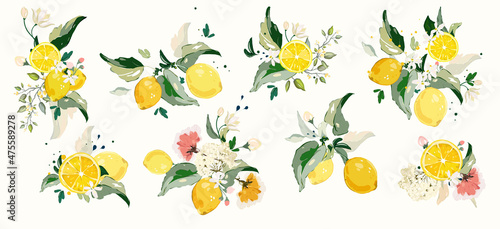 Big vector Set of lemon branch. Flower, green leaves. fruit and splashing juice. arrangements