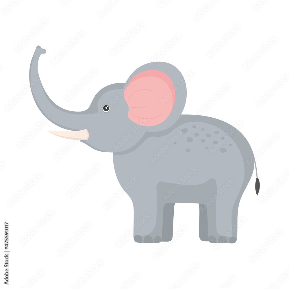 elephant exotic animal