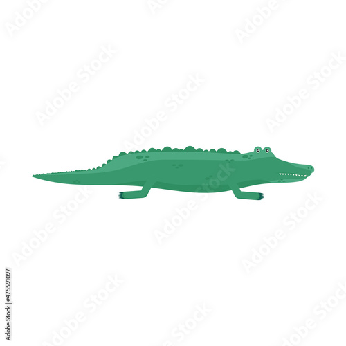 crocodile exotic animal