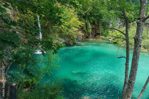 Fototapeta Naklejka Na Ścianę i Meble -  Peaceful waterfall with turquoise water pool in the Plitvice Lakes National Park, Croatia