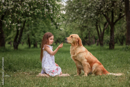 little girl in a dress and a straw hat gives food to the dog Golden Retriever Labrador
