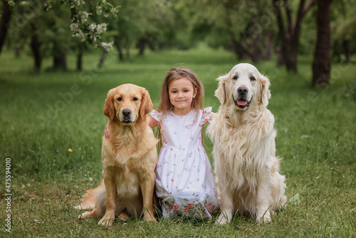 a girl in a white dress and a straw hat in a blooming garden hugs the dogs Golder Retrievers Labrador Retrievers