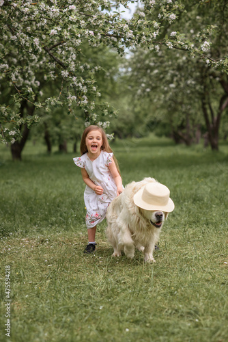 a girl in a white dress and a straw hat in a blooming garden puts on a hat dog Golden Retriever Labrador