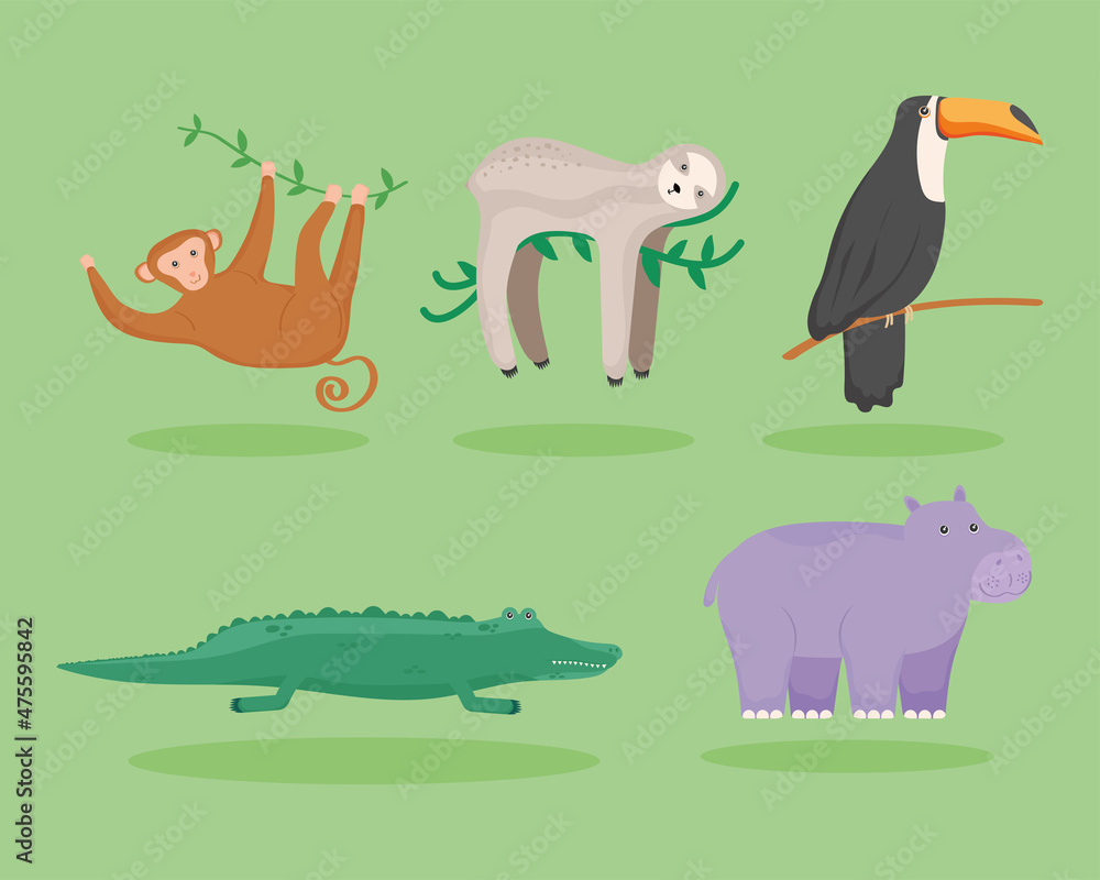 Obraz premium exotic animals of wildlife