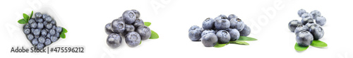 Collage of blueberry isolated on a white background