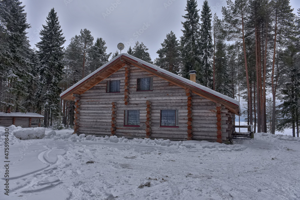 log cabin in a pine forest in winter log cabin in a pine forest in winter