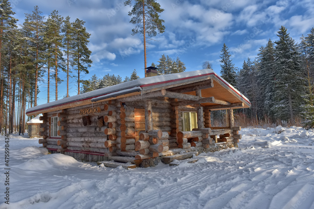log cabin in a pine forest in winter log cabin in a pine forest in winter