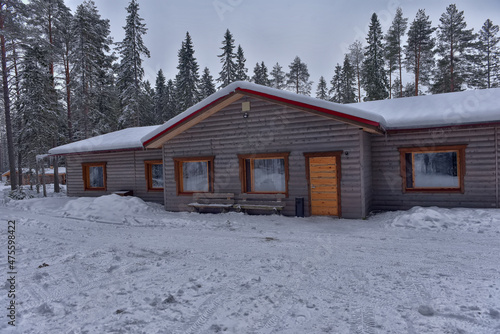 log cabin in a pine forest in winter © Evdoha