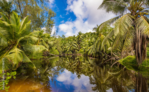 Tropical lake surrounded by coconut trees. Seychelles.